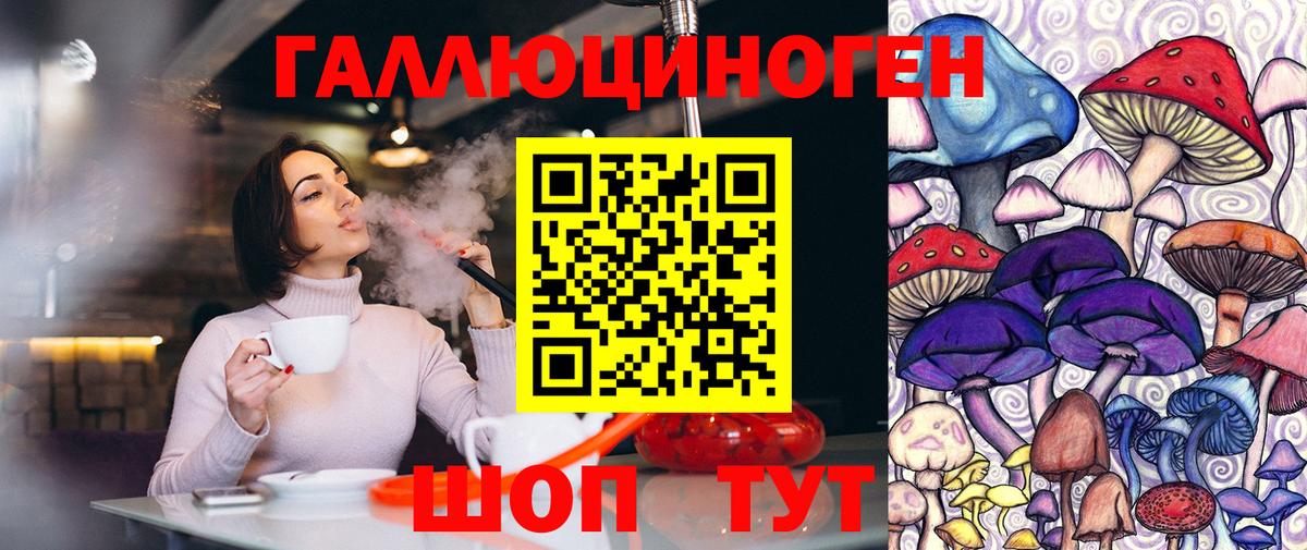 Галлюциногенные грибы мухоморы  Галлюциногенные грибы MAGIC MUSHROOMS  Черногорск  где можно купить наркотик  Вход с VPN 